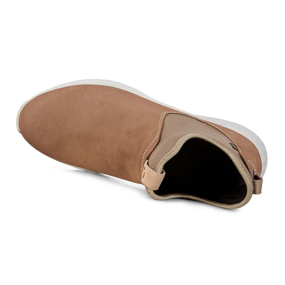 Ecco Exostrike Chelsea Gtx Støvler Dame Brune | NO 11WNB